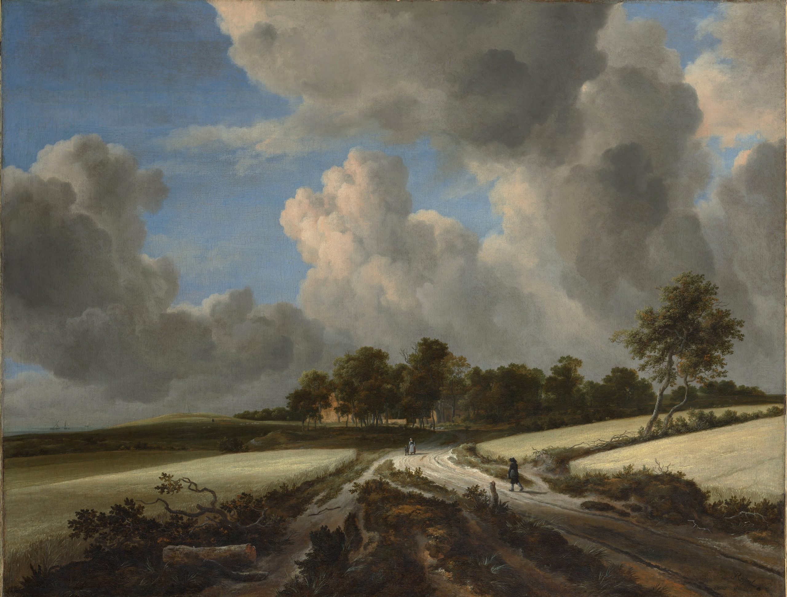 ruisdael_d-scaled